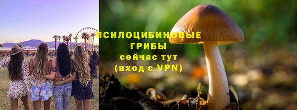 молекула духа Волосово
