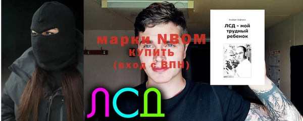 молекула духа Волосово