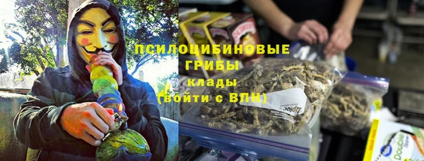 молекула духа Волосово
