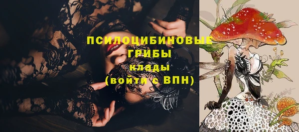 молекула духа Волосово