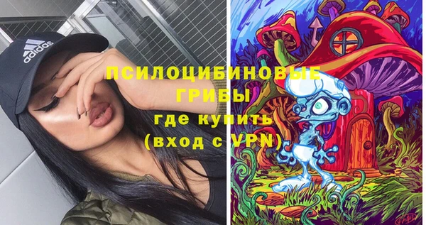 молекула духа Волосово