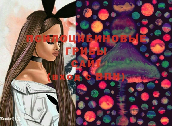 Альфа ПВП Волоколамск
